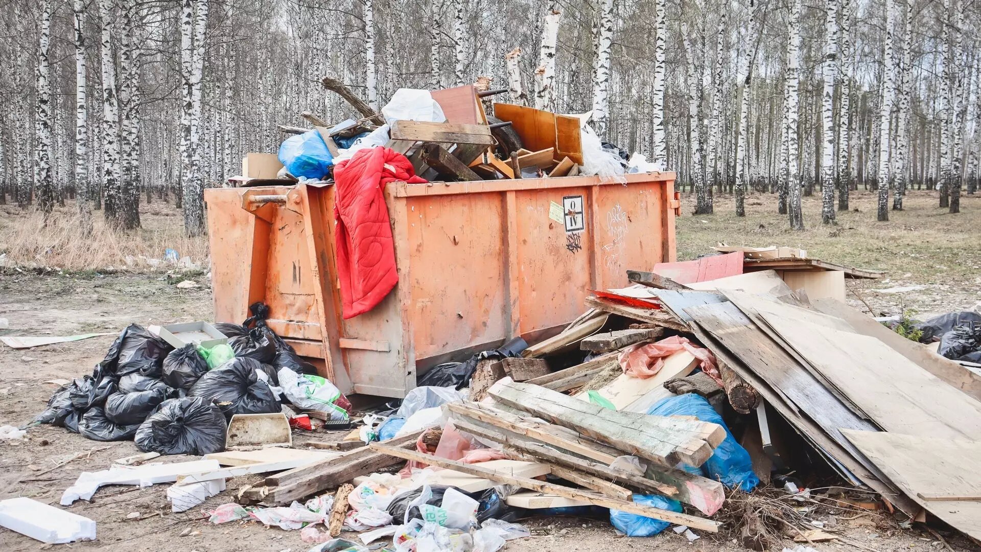 В Пермском крае СНТ выиграли суд у регионального оператора по вывозу мусора