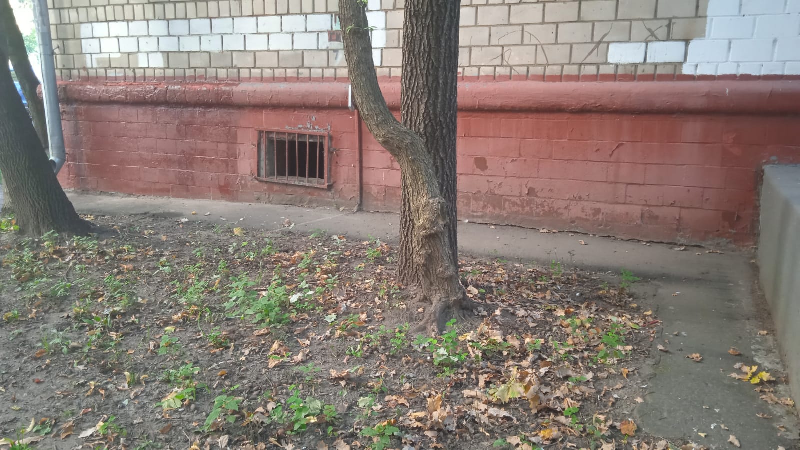 ул. Шумкина, д. 3 к 2. ГБУ